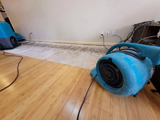 Professional Basement Flood Cleanup technician working in Gillette, WY